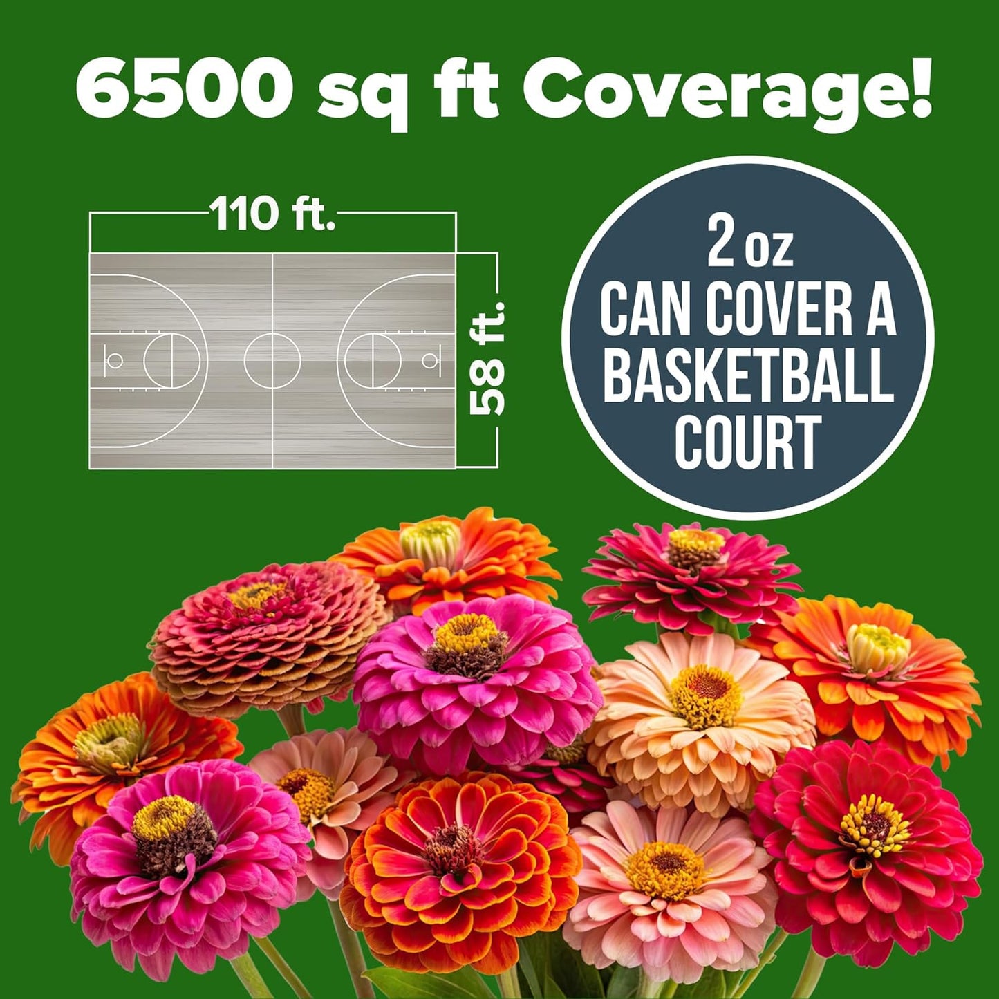 Smart Sun-Loving Giant Zinnia Flower Seeds