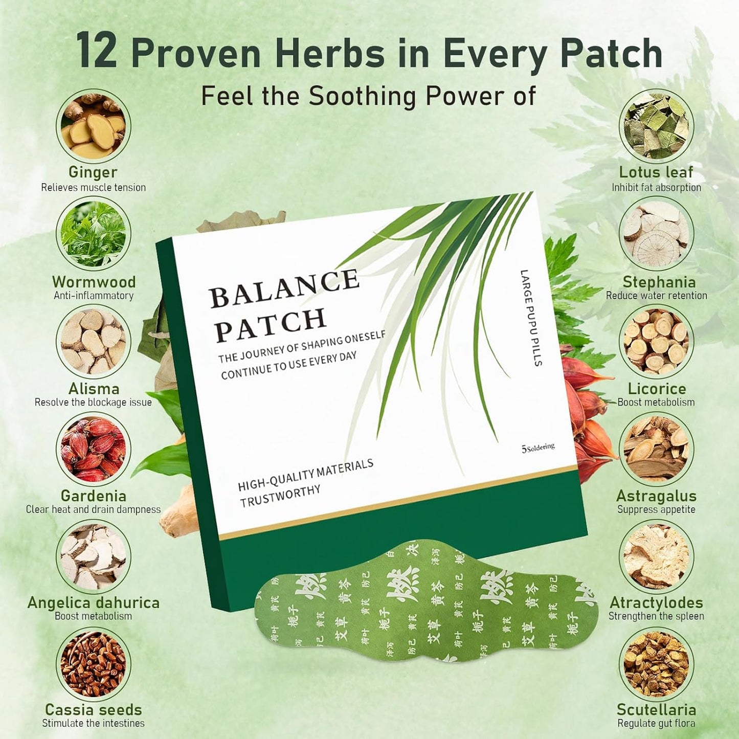 HKKA Japanese Herbal Balance - 5 Premium Natural Patches