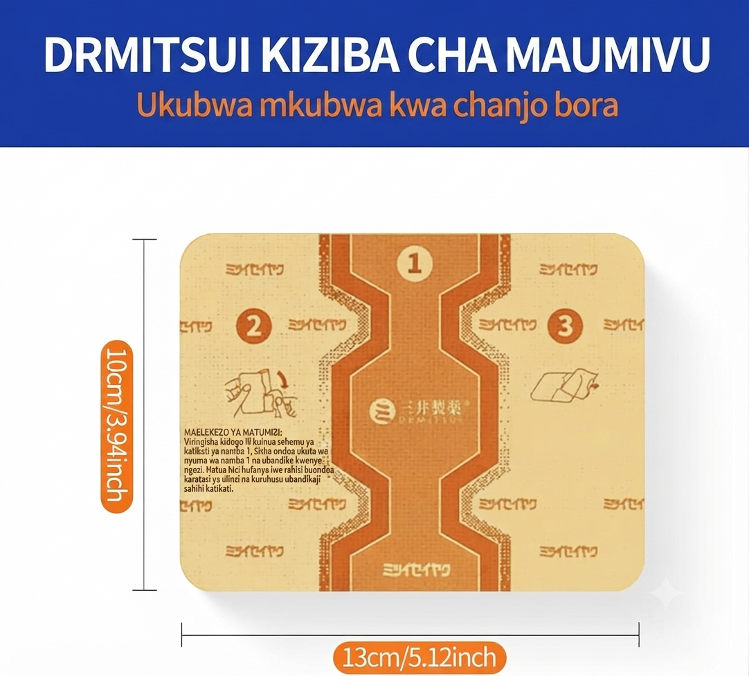 DRMITSUI Seiyaku - Plasta za Tiba za Hali ya Juu za Maumivu ya Mifupa na Misuli - Kifurushi cha Plasta 6 za Asili