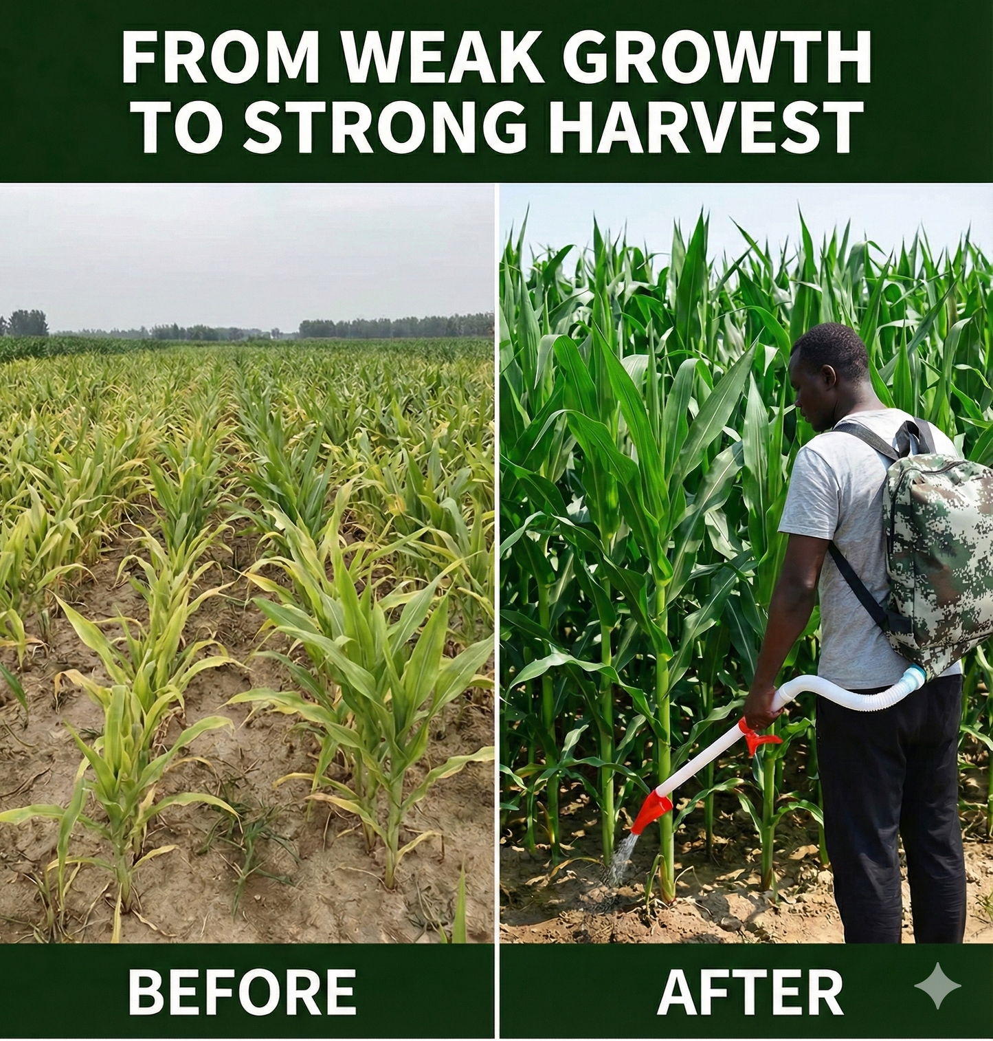Fertilizer Sugar Corn Backpack