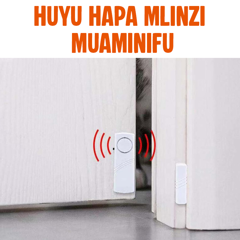 Anti Theft Alarm Original