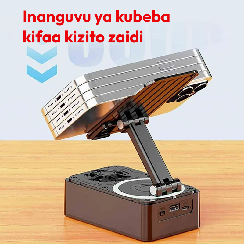 Charging Speaker Stand 100% Safe