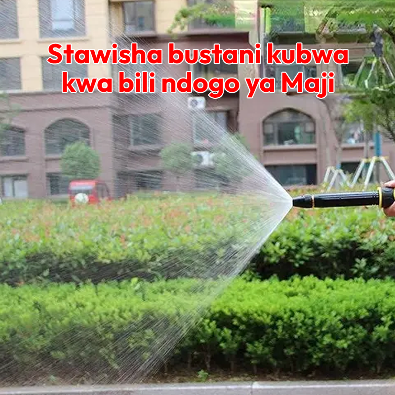 Car Water Gun