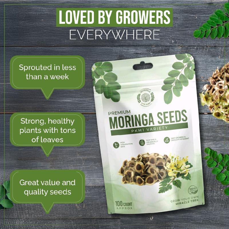 Smart 2-in-1 Edible & Plantable Moringa Oleifera Seeds