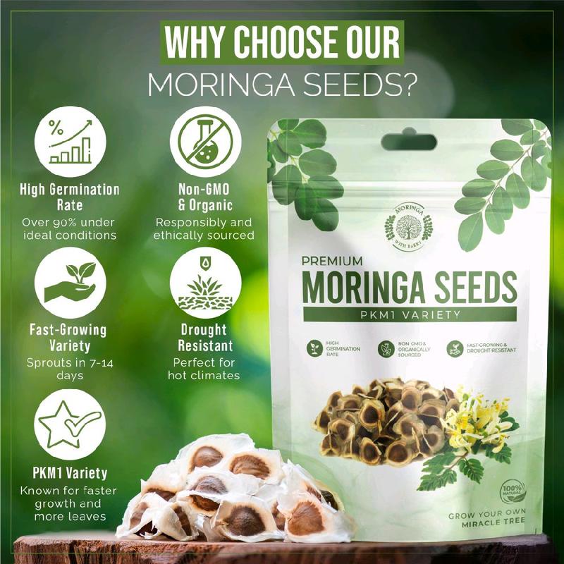 Smart 2-in-1 Edible & Plantable Moringa Oleifera Seeds